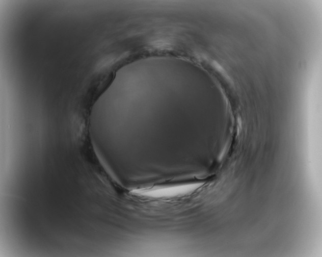 X0000088401303200706051128