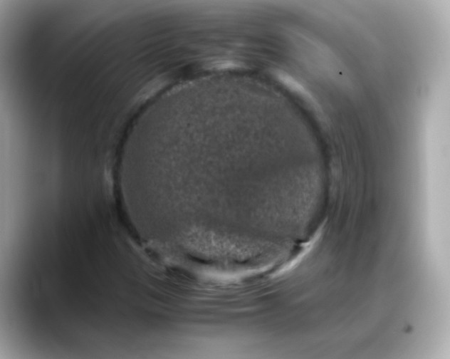 X0000088401305200706051128