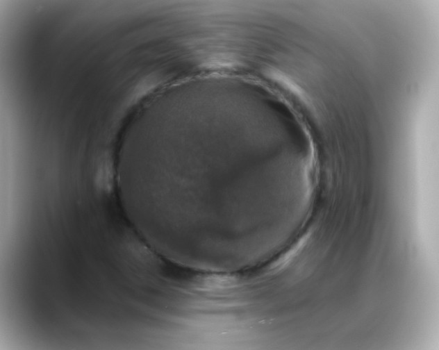 X0000088401306200706051128