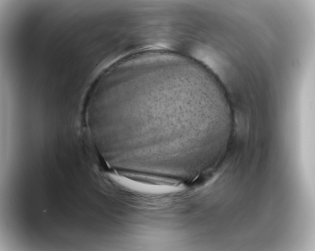 X0000088401308200706051128