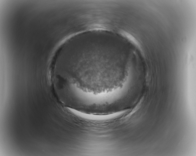 X0000088401310200706051128