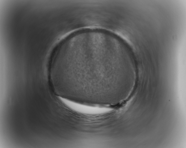 X0000088401311200706051128