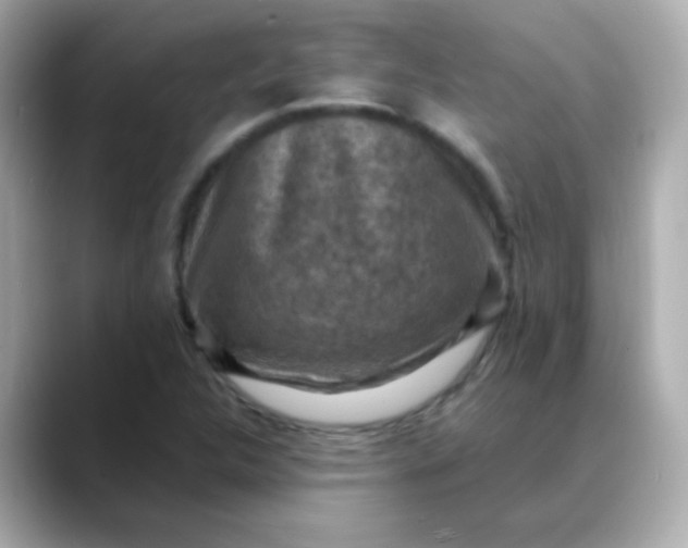 X0000088401312200706051128