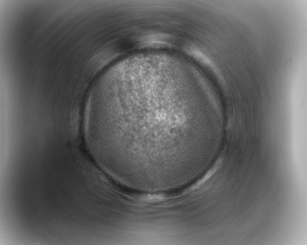 X0000088401313200706051129