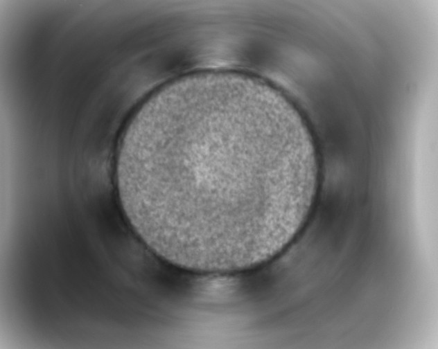 X0000088401314200706051129