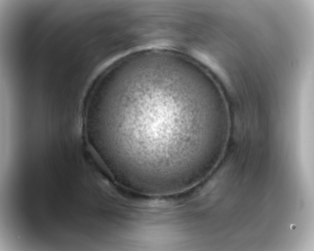 X0000088401316200706051129