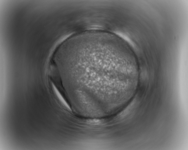 X0000088401317200706051129