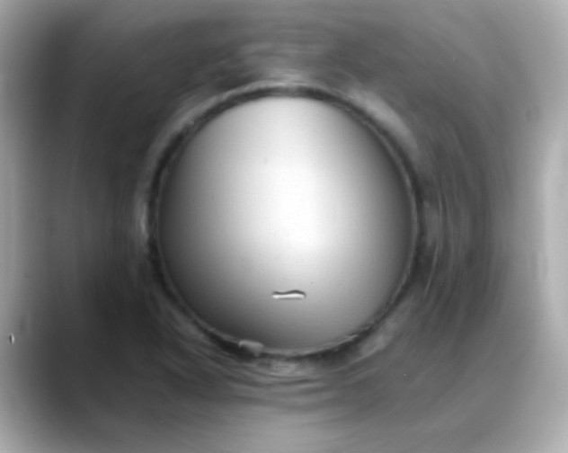 X0000088401318200706051129