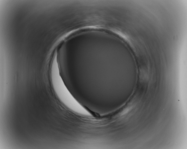 X0000088401319200706051129