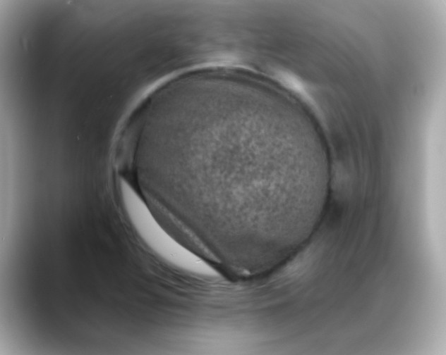 X0000088401320200706051129