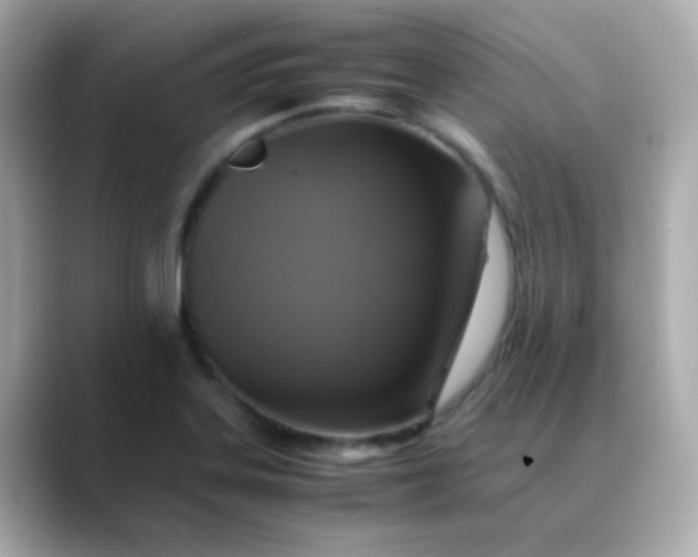 X0000088401323200706051129