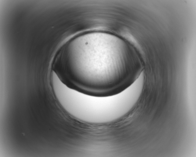 X0000088401324200706051129