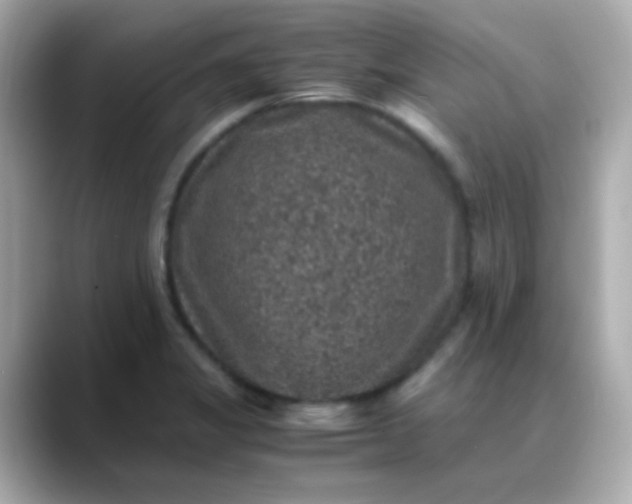 X0000088401325200706051129