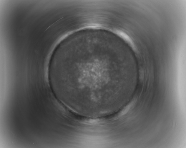 X0000088401326200706051129