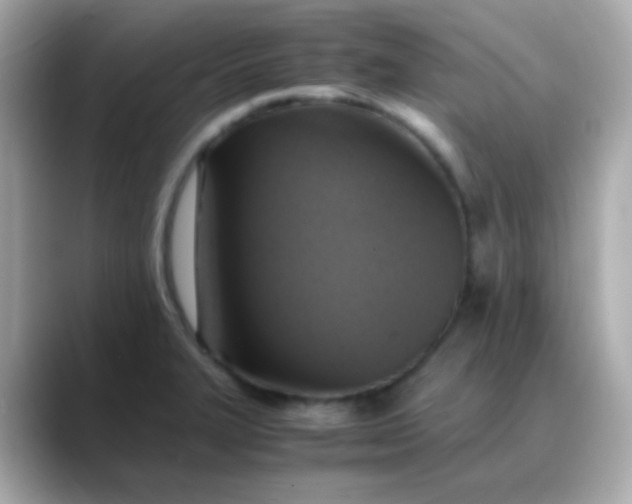 X0000088401327200706051129