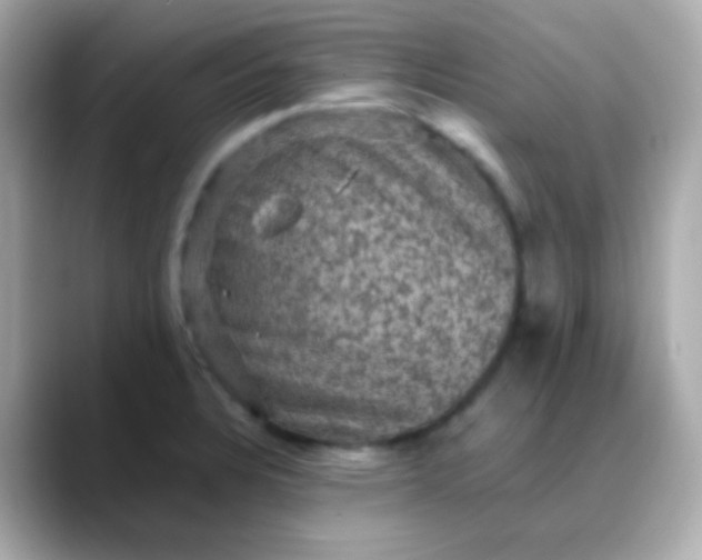 X0000088401328200706051129