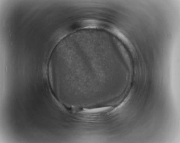 X0000088401329200706051129