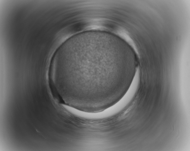 X0000088401330200706051129