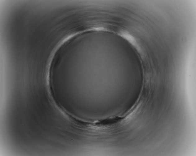 X0000088401331200706051129