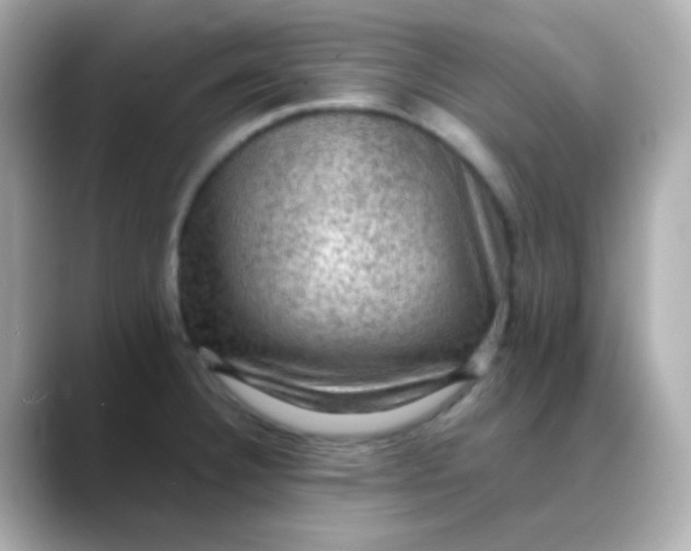 X0000088401332200706051129