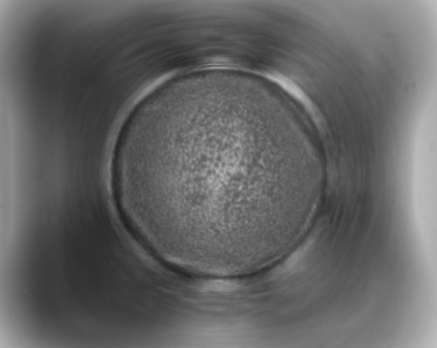 X0000088401333200706051129