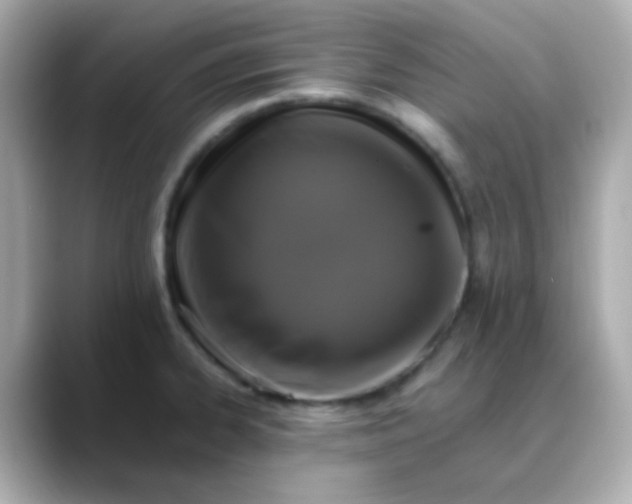 X0000088401334200706051129