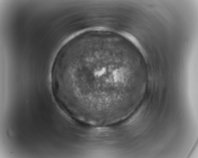 X0000088401335200706051129