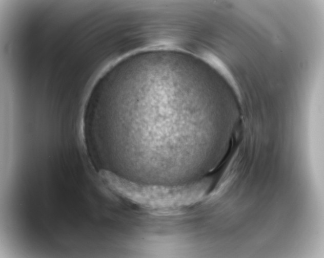 X0000088401336200706051129