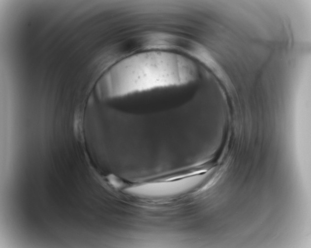 X0000088401337200706051129