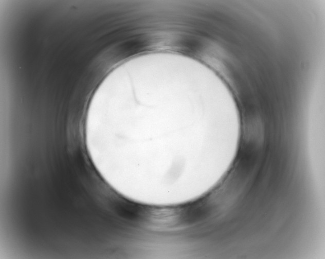 X0000088401338200706051129