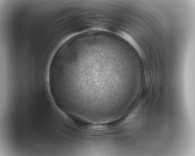 X0000088401339200706051129