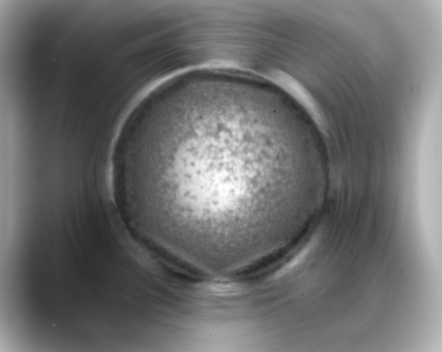 X0000088401340200706051129