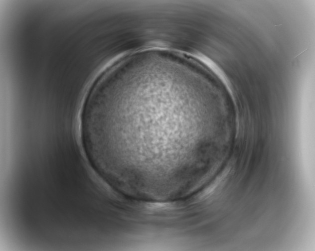 X0000088401341200706051129