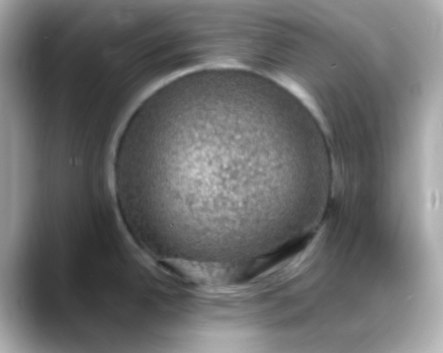 X0000088401342200706051129