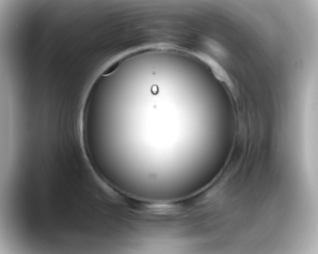 X0000088401343200706051129