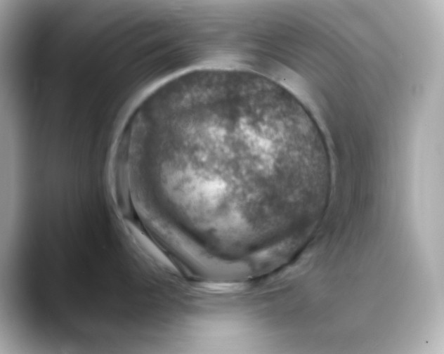 X0000088401344200706051129