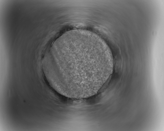 X0000088401345200706051128