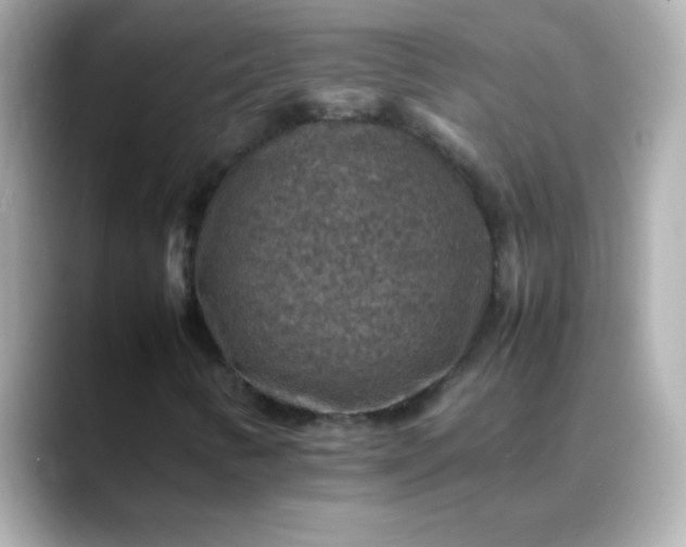 X0000088401346200706051128