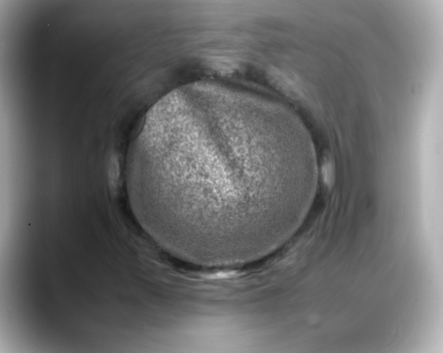 X0000088401347200706051128