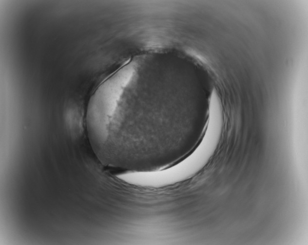 X0000088401348200706051128