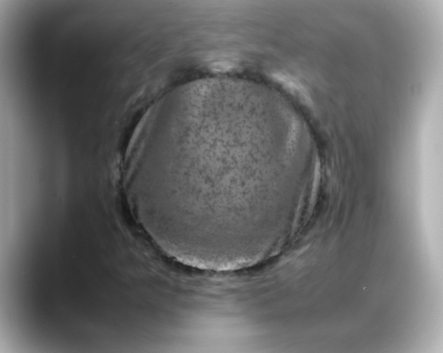 X0000088401349200706051128