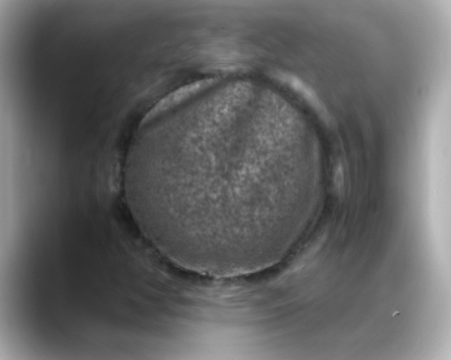 X0000088401350200706051128