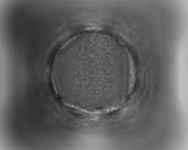 X0000088401351200706051128