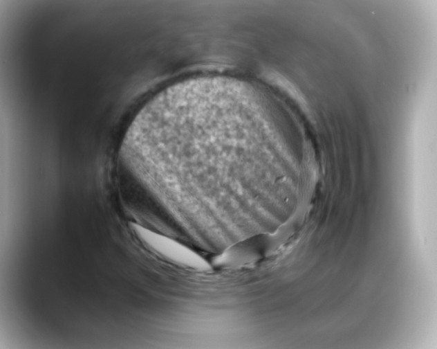 X0000088401352200706051128