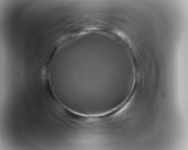 X0000088401353200706051128