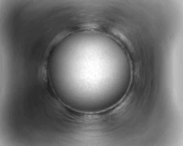 X0000088401354200706051128