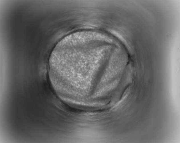 X0000088401355200706051128