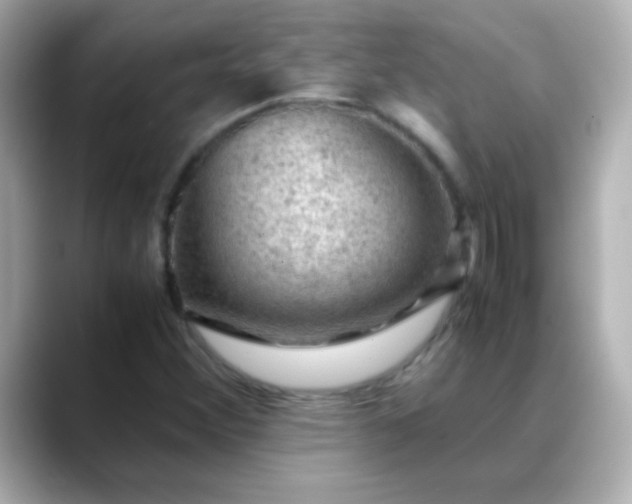 X0000088401356200706051128