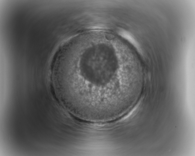 X0000088401357200706051128