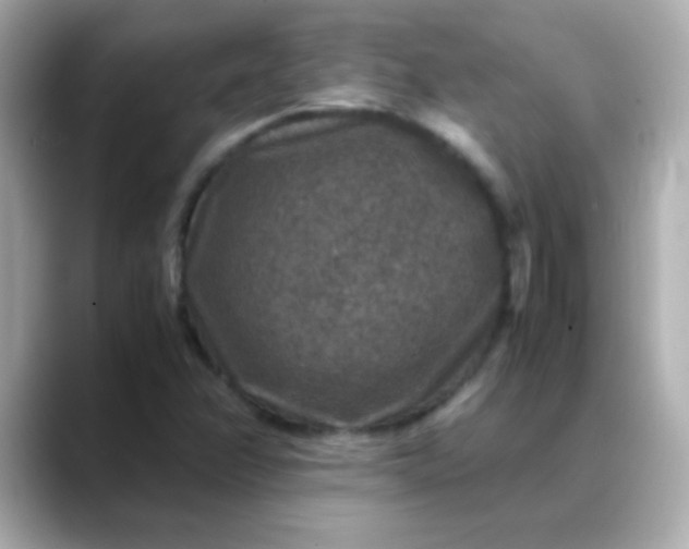 X0000088401358200706051128